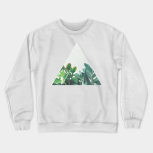 Crassula Group Crewneck Sweatshirt